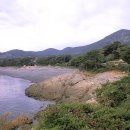 미라리 상록수림 해변 이미지