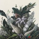 [미리보는 전시]녹색 사유, 다시 숲: &#34;Green Thought , The Forest Again&#34; 이미지