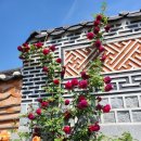 장미원내부 이미지