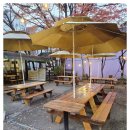 으뜸가애니골 이미지