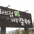 하드림해물칼국수 이미지