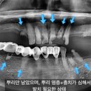 연세한스치과의원 이미지