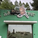 흑석산자연휴양림 | 전남여행 해남✨ 흑석산 자연휴양림 동백동후기 전남 아이와 가볼만한곳