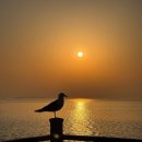 외연도항 공중화장실 | 제부도 갈만한곳 빨간등대 일몰 3월 4월 물때 시간표 바닷길 통행시간