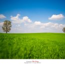 소원목장 이미지