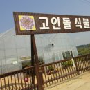 고인돌식물원 이미지