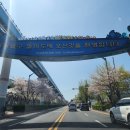 힐링산책코스 | 예상치 못한 벚꽃 힐링! 월미공원 나들이 후기 (가는 법·산책코스·전망대까지)