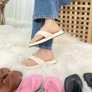 G1176 이미지