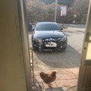 금대골 이미지