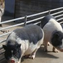 경북야생동물구조관리센터 이미지