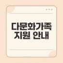 정해진 미래 우리는 모두 다문화 | 다문화가족 지원내용, 복지사업, 신청절차 알아보기