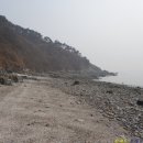 측도해변 Daum카페