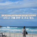 퀸즈,성당,하이드 파크, 달링하버 선셋 디너 크루즈, 밀슨스포인트, 오페라 바, 오페라하우스 야경) 후기