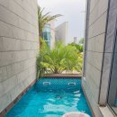 에다모니아 이미지