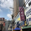 진주회관 콩국수/ 가로수길카페 라에스키모/ 썸머 프리즘클러치/ 그레이그램 피코탄