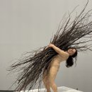 [경복궁/국립현대미술관] 론 뮤익(Ron Mueck) 전시회 관람 후기