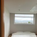 스테이 안도감 제주 이미지