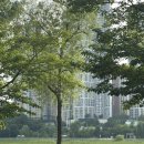 만복 | 광교맛집 만복집 후기 광교호수공원 야장