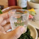 성원세꼬시 | 발산역횟집 속초어시장 발산점 여름 제철 농어회에 낮술 후기