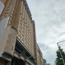 뇽뇽스낵 | 강남 호텔 로비 트리 예쁜 곳 그랜드 머큐어 임피리얼 팰리스 내돈내산 서울 5성급 크리스마스 호캉스...