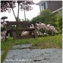 천사의정원