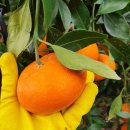 석화농장 이미지