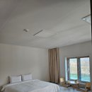[산강숙소]춘천 글램독 독채 숙소, 서린춘천