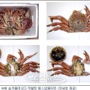 밀수 이미지