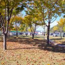 합천군테니스장 이미지