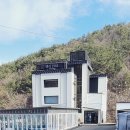 밸리1961 이미지