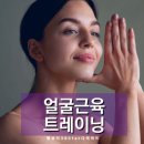 페이스엘
