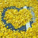 포곡고등학교 이미지