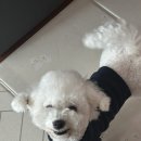 헤이커멍 이미지