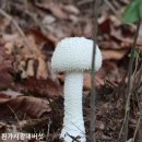 부곡4동 주민센터 | [부산] 회동호둘레길 트레킹후기---2025년 8월 9일(토)