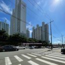 신방한라동백@ 1 이미지