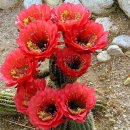 힘이들때 힘이되는 명언 10가지. 이미지