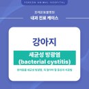 포레온 동물병원 이미지