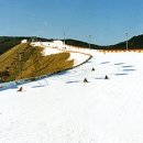 GoGoSing 이미지