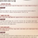 마임중부지사