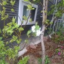 상동139카센타 이미지