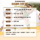 한국체대 용무태권도장 이미지