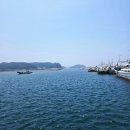 GS25태안모항항점 | 태안 노지캠핑 장소 모항항 답사 (화장실O 낚시O)
