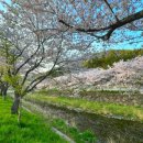 새통영농업협동조합광도지점 이미지