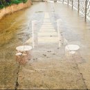 새미게스트하우스 이미지