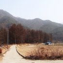중평 이미지
