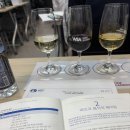 신반포로 311 | WSET 레벨2 : WSET 레벨 2 WSA 와인아카데미에서 수강한 후기