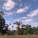 호텔 아르떼 이미지