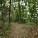 법원2리 이미지