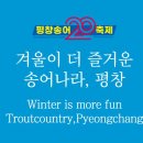 송어축제 이미지