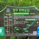 편백숲 이미지